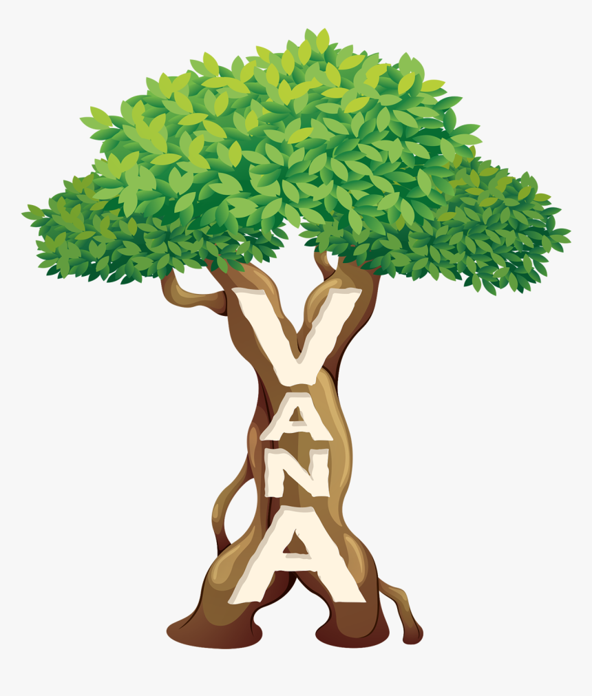 Sweetums Signatures Jungle Scene Printed Wall Decals - Tree With Vine Vector, HD Png Download