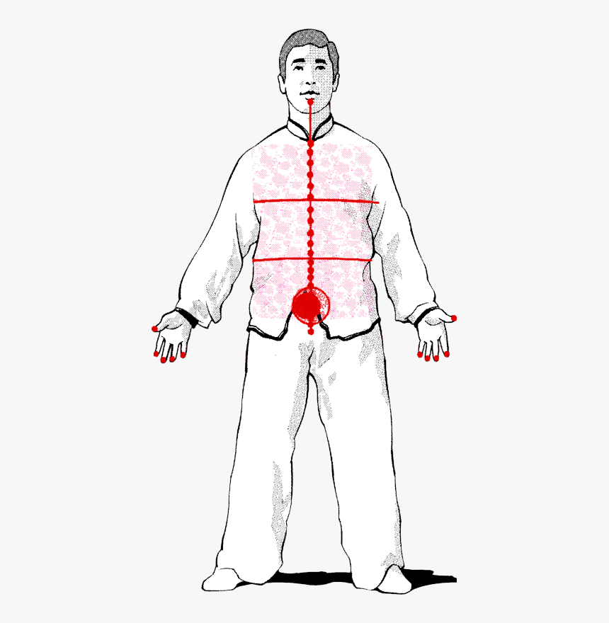 A Fundamental Part In The Training Of Luohan Gong Is - Illustration, HD Png Download