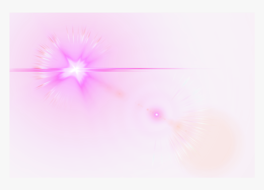 Transparent Pink Lens Flare Png - Dianthus, Png Download