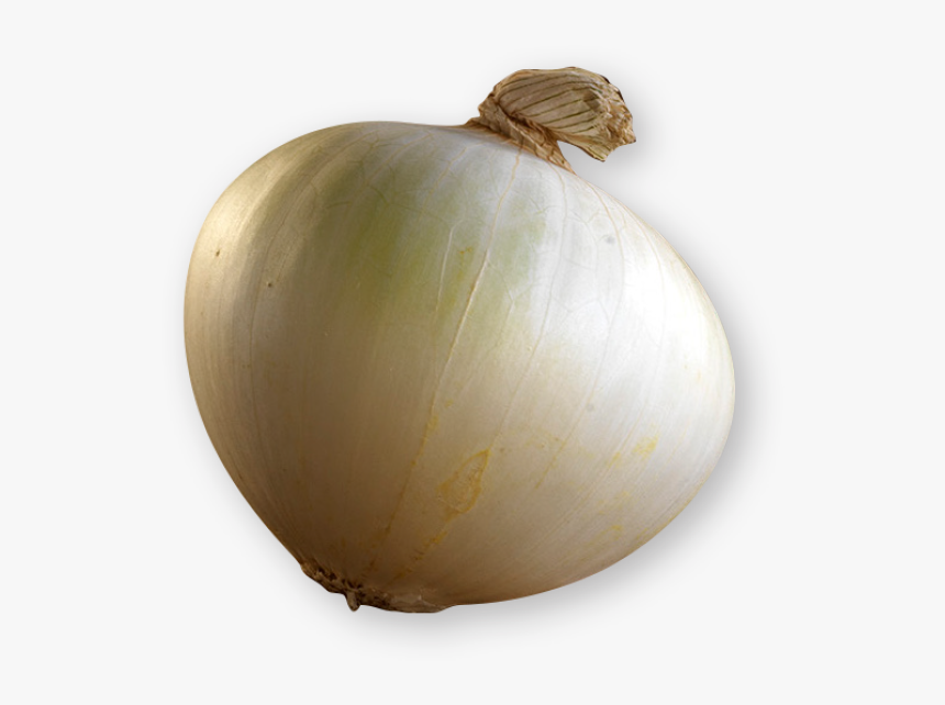 Yellow Onion, HD Png Download