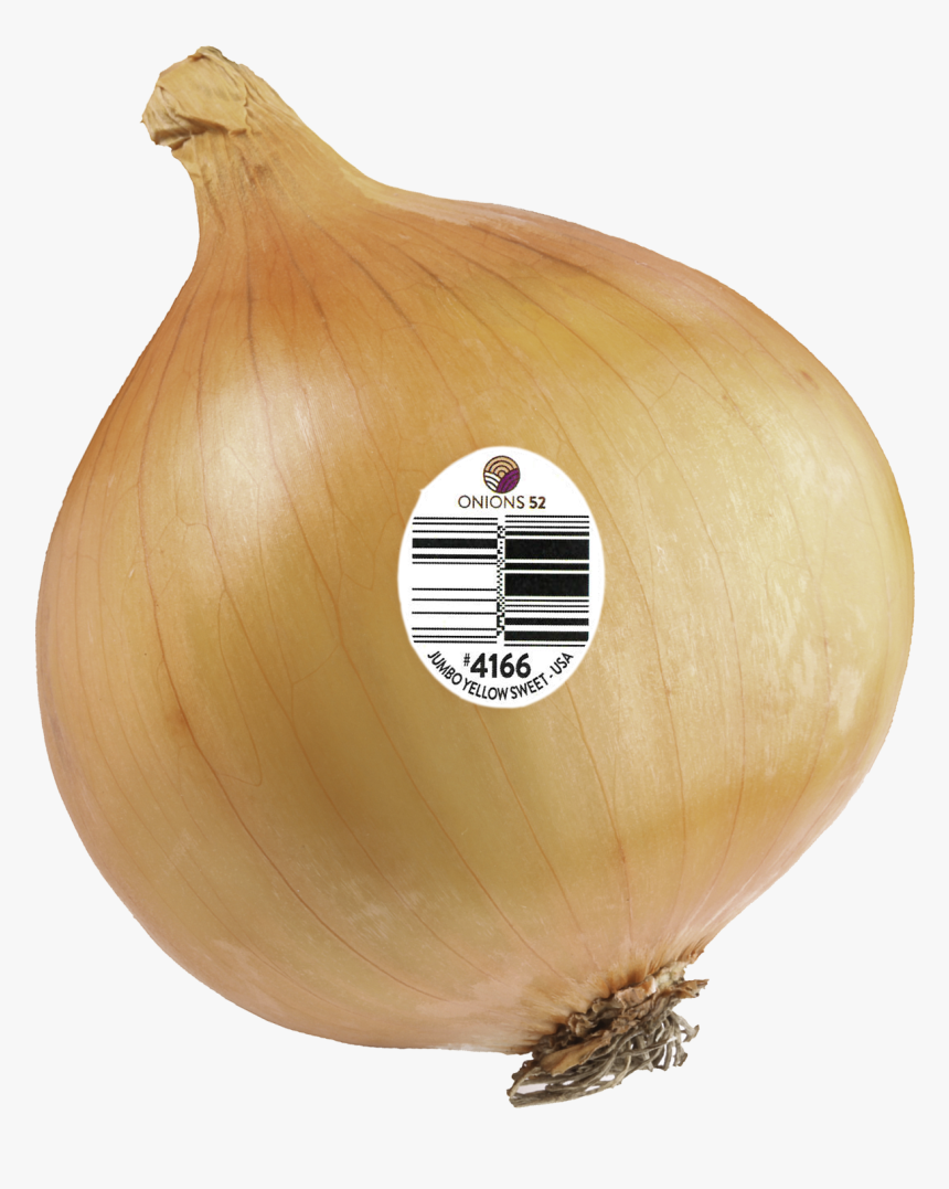 Yellow Onion, HD Png Download