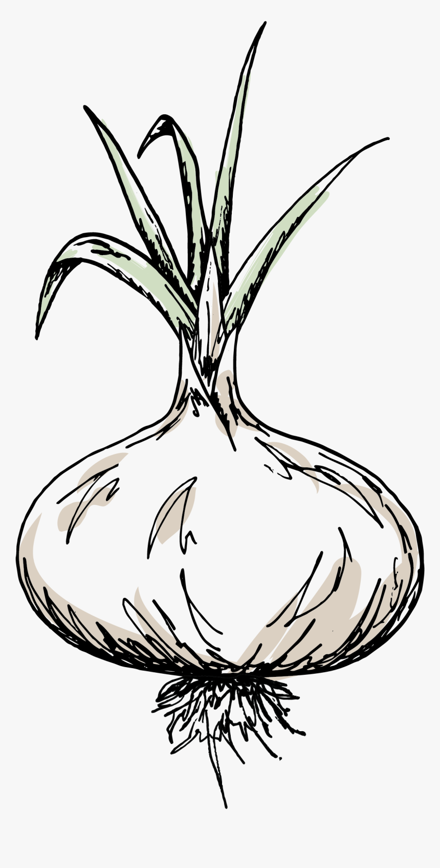Line Art, HD Png Download