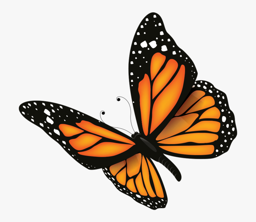 Butterfly - Aku Bukan Orang Baik Tapi Aku Berusaha Baik, HD Png Download