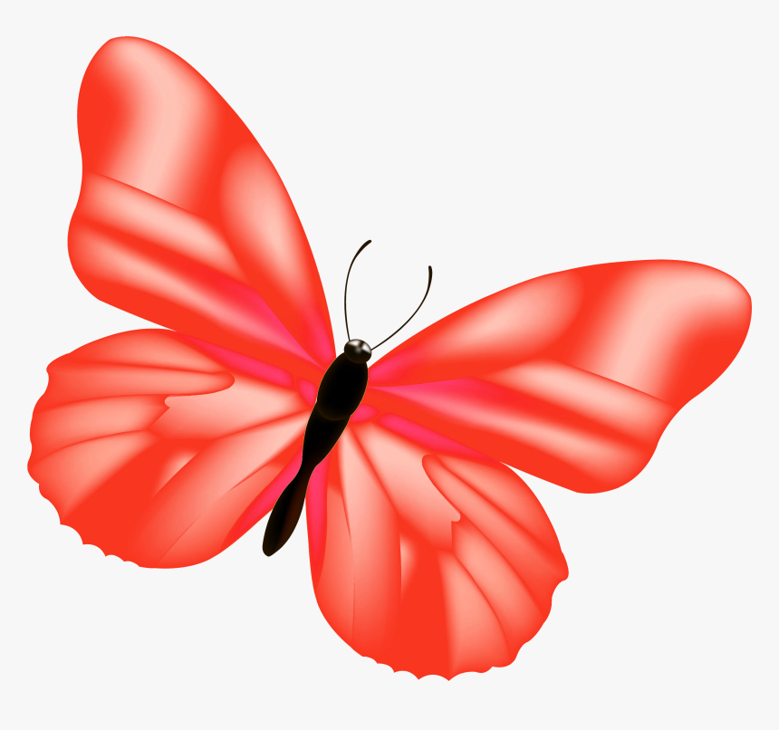 Red Butterfly Png - Clipart Oranger Schmetterling, Transparent Png