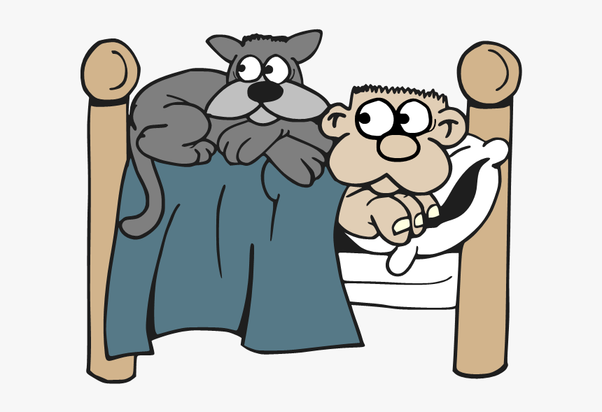 Cat Coloring Pages, HD Png Download