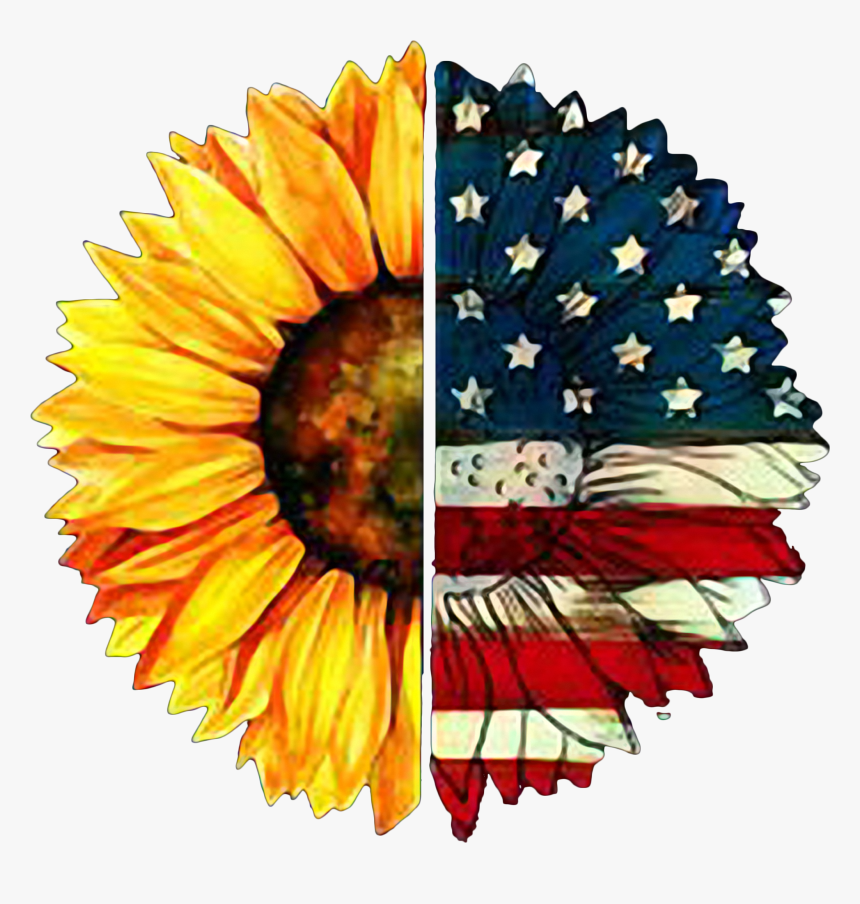 American Flag Png Image, Transparent Png