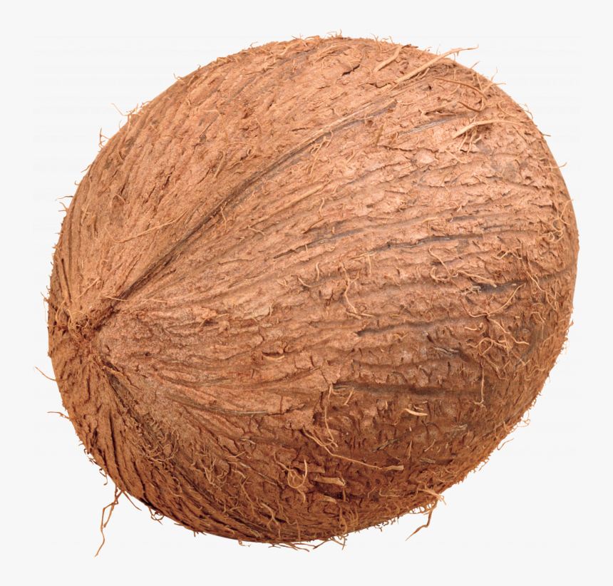 Clipart Transparent Background Coconut, HD Png Download