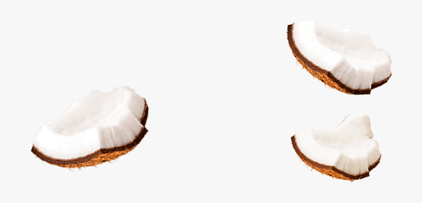 Coconut Milk Png - Coconut Piece Png, Transparent Png