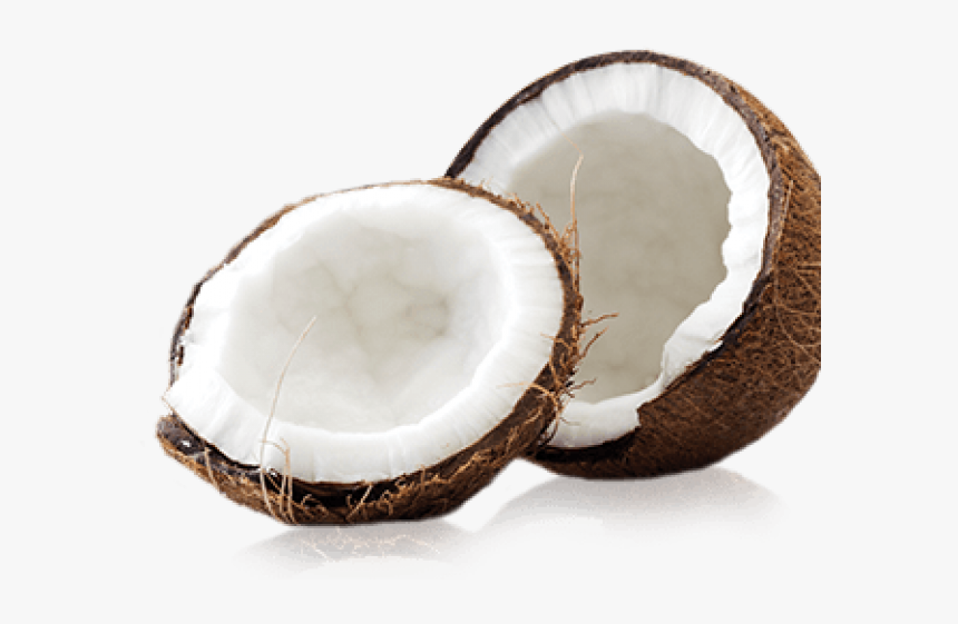 Coconut Png Transparent Images - Coconut, Png Download