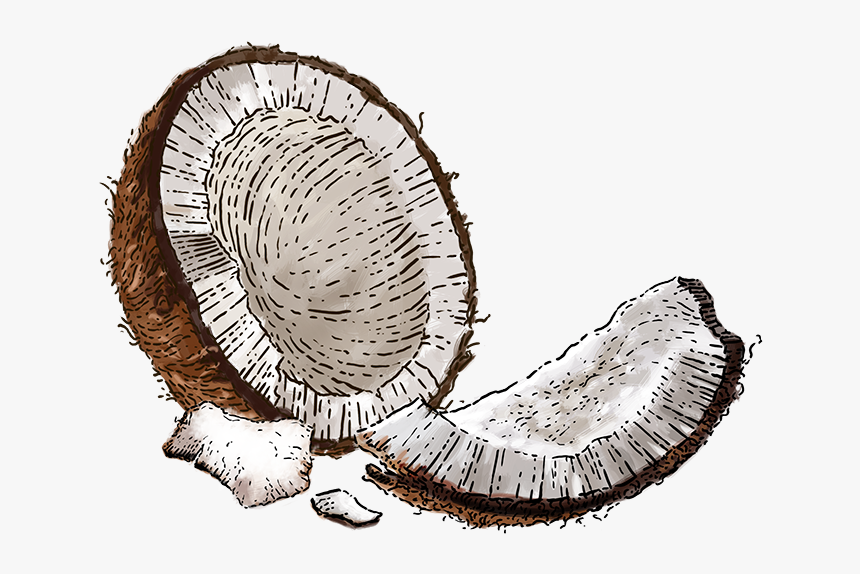 Nutrition Facts - Siggi's Coconut Yogurt, HD Png Download