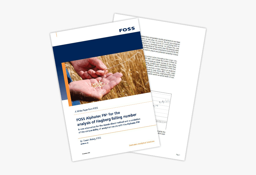 Flyer, HD Png Download