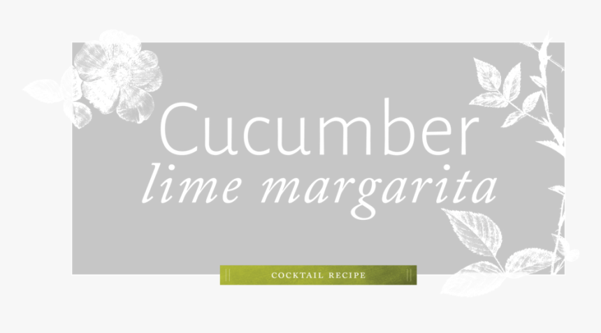 Recipe-cocktail - Omd Messages Greatest Hits, HD Png Download