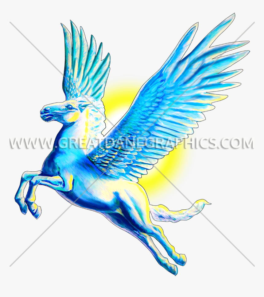 Macaw, HD Png Download