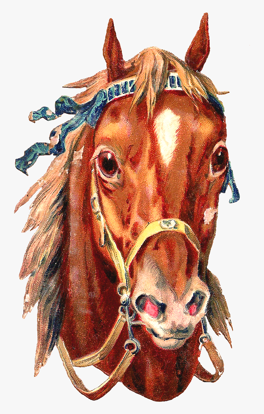 Cabeza De Caballo Tatuaje, HD Png Download