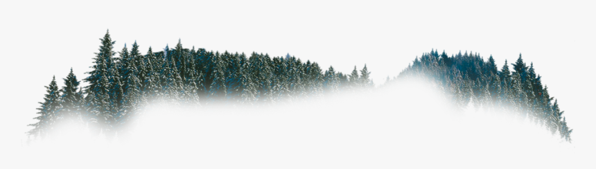 Christmas Tree, HD Png Download