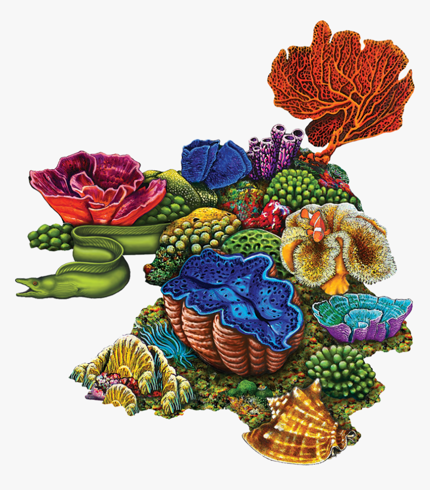 Porc Cr30e Coral Reef E Copy, HD Png Download