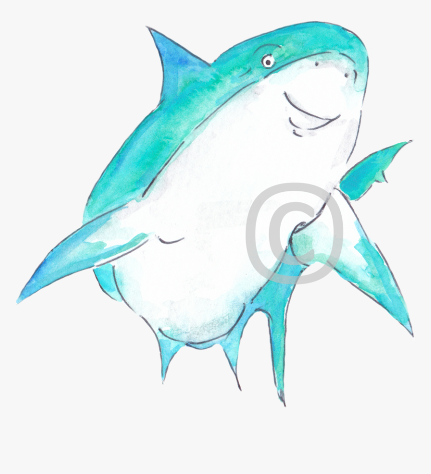 Reef Shark P2 Cmaas Copyright - Great White Shark, HD Png Download