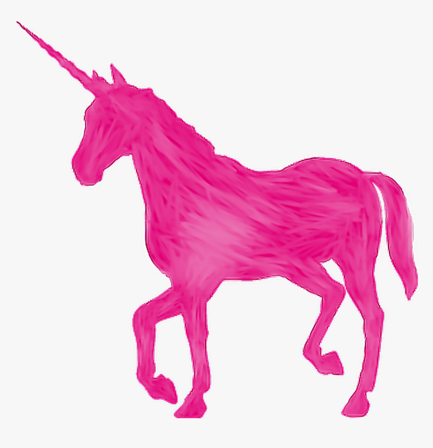 Unicorn Png Clipart , Png Download - Unicorn With Transparent Background, Png Download