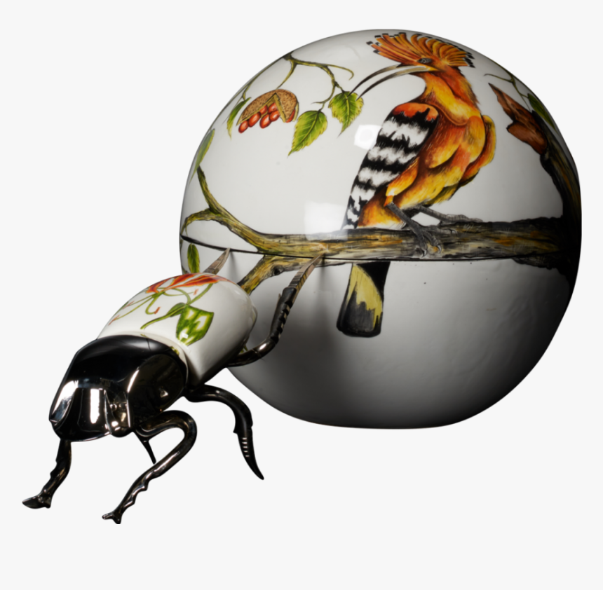 Dung Beetle Ceramics, HD Png Download