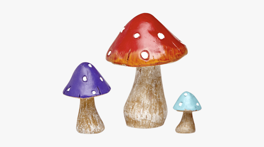 Russula Integra, HD Png Download