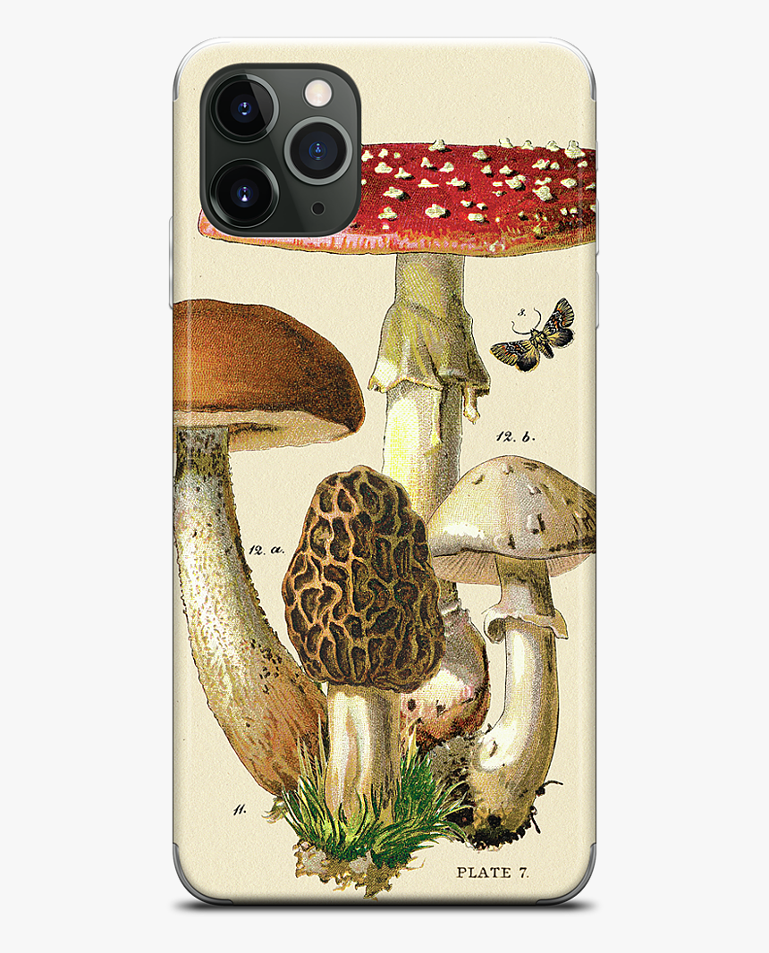 Data Mfp Src //cdn - Mobile Phone Case, HD Png Download