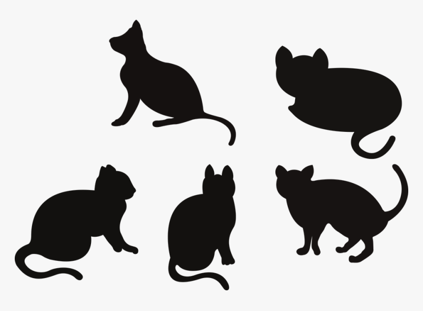 Black Cat, HD Png Download