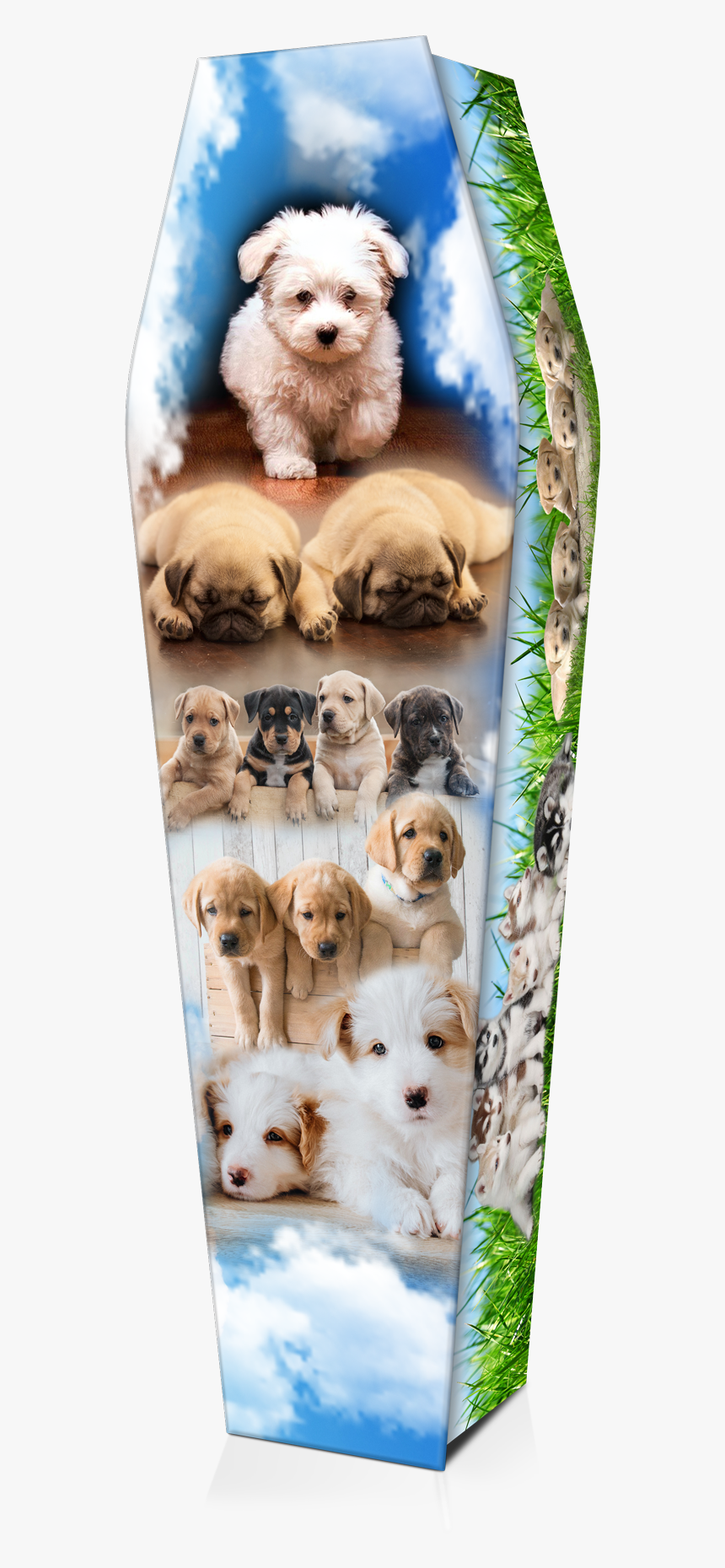 Companion Dog, HD Png Download