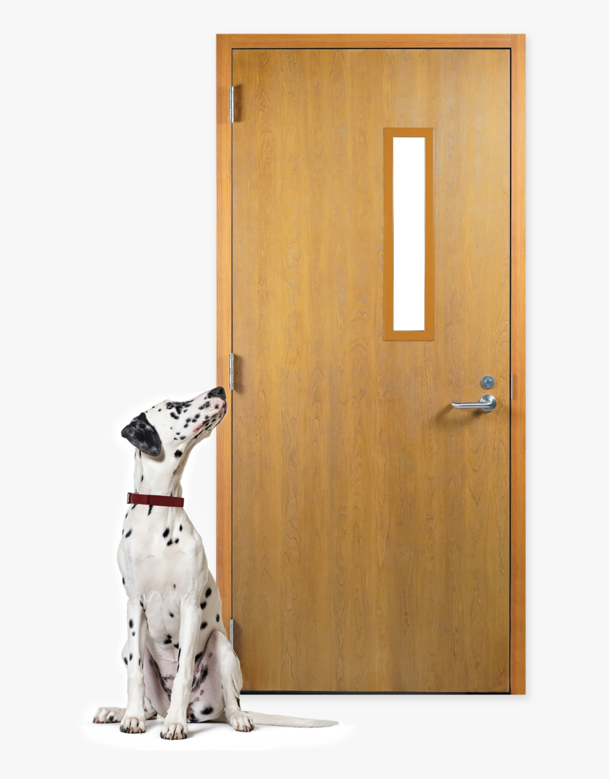 Dalmatian, HD Png Download