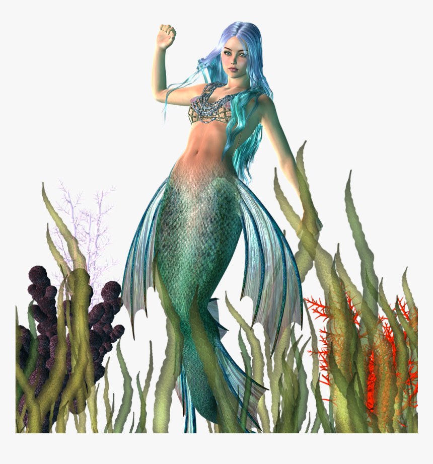 Transparent Fairy Png - Mermaid, Png Download