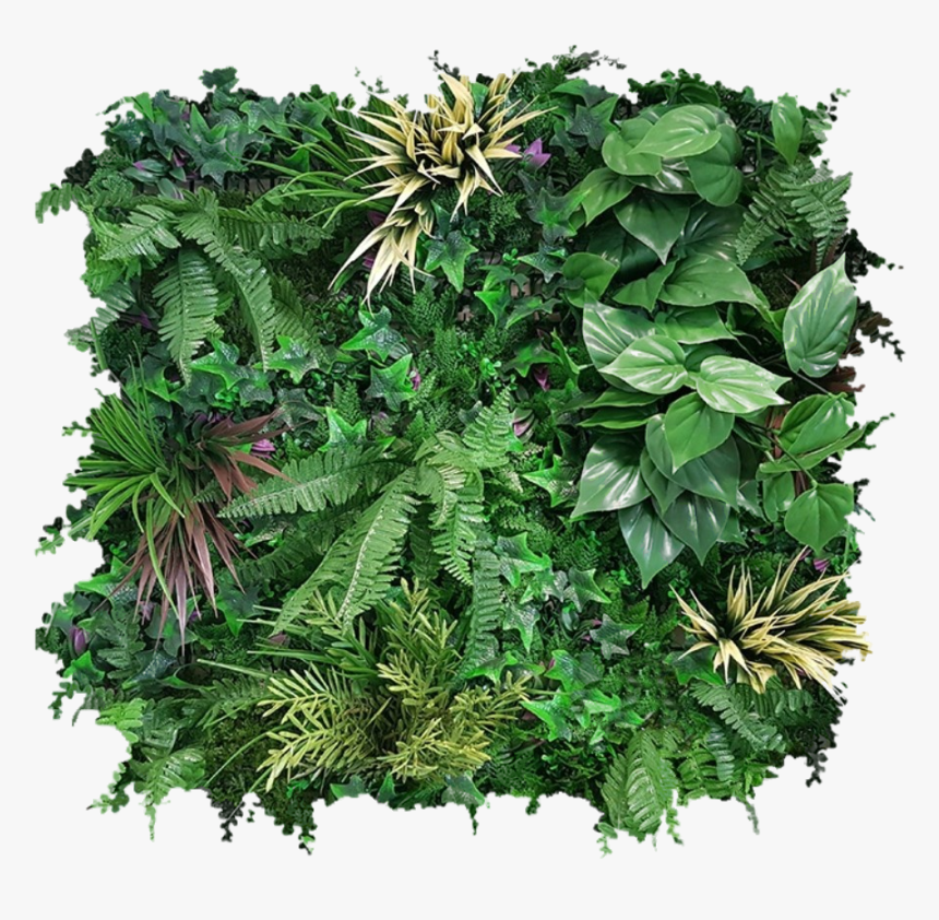 Annotation 2019 07 17 130814 Clipped Rev 1 - Fern, HD Png Download