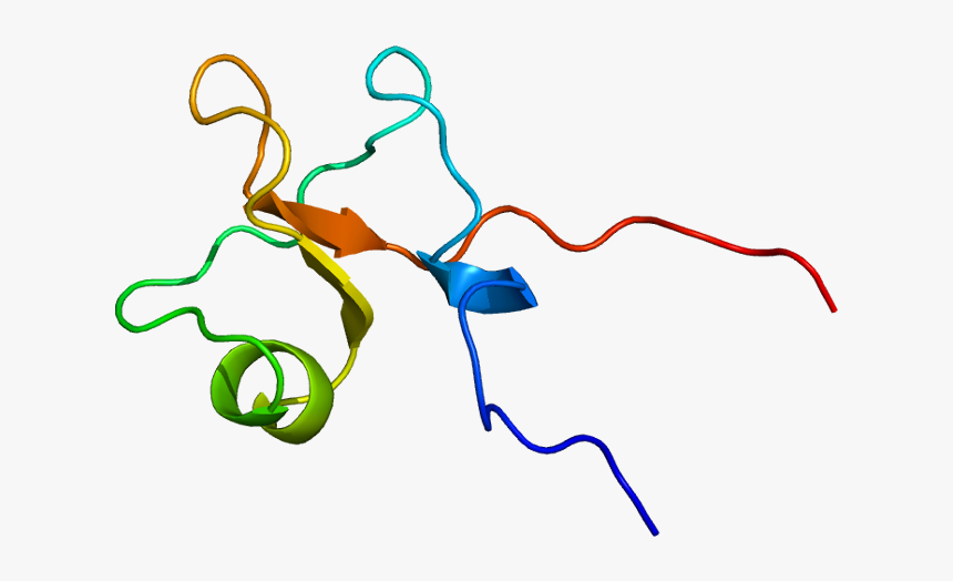 Protein Tff3 Pdb 1e9t - Trefoil Factor Family Tff Peptides, HD Png Download