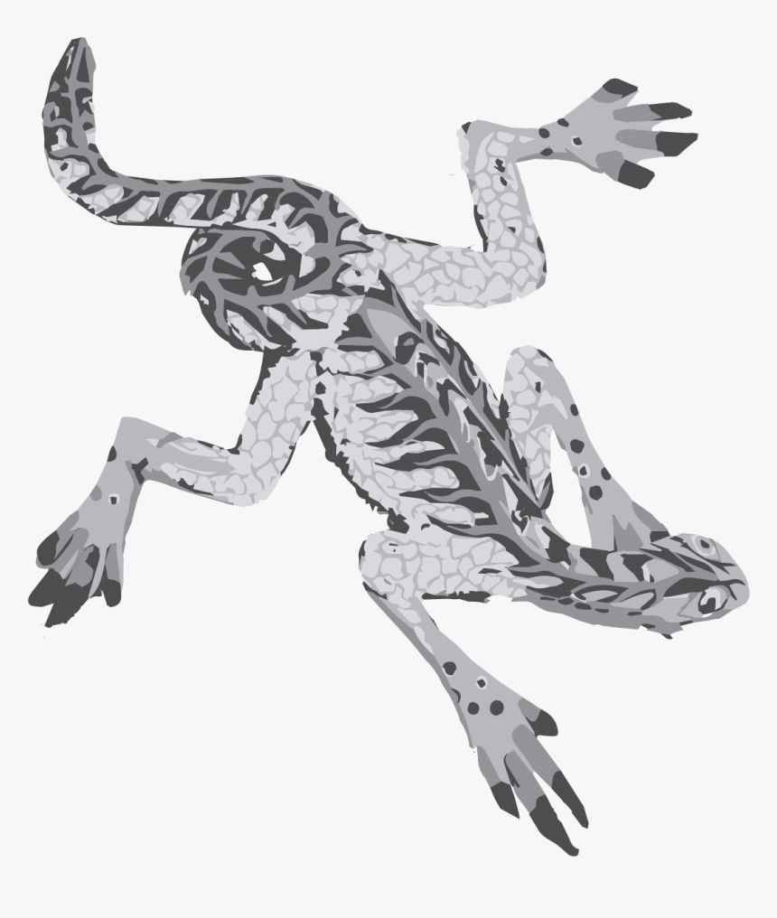 Illustration, HD Png Download