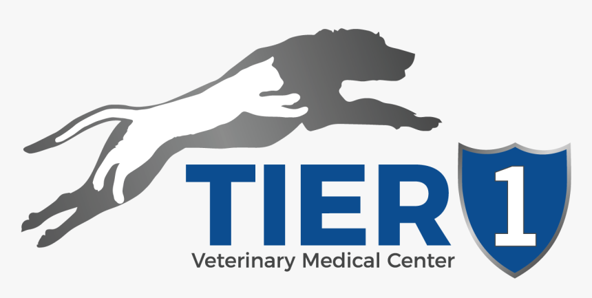 Image - Graphic Design, HD Png Download