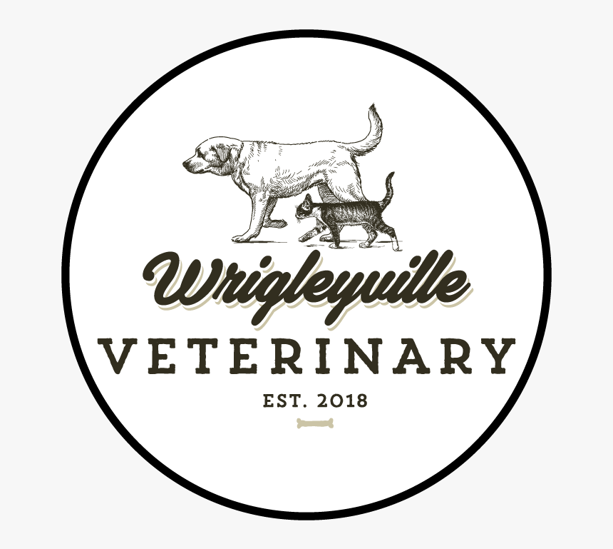 Animal Hospital In Chicago - Love, HD Png Download