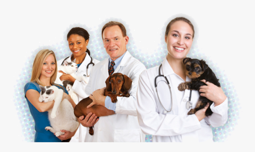 Veterinarian With Different Animals, HD Png Download