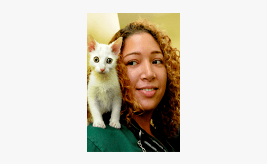 Doctor Christina East At Riverside Animal Hospital - Kitten, HD Png Download