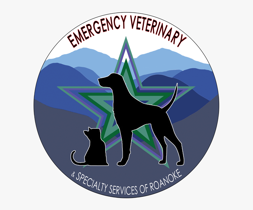 Emergency Veterinary Services Of Roanoke - Dog Catches Something, HD Png Download
