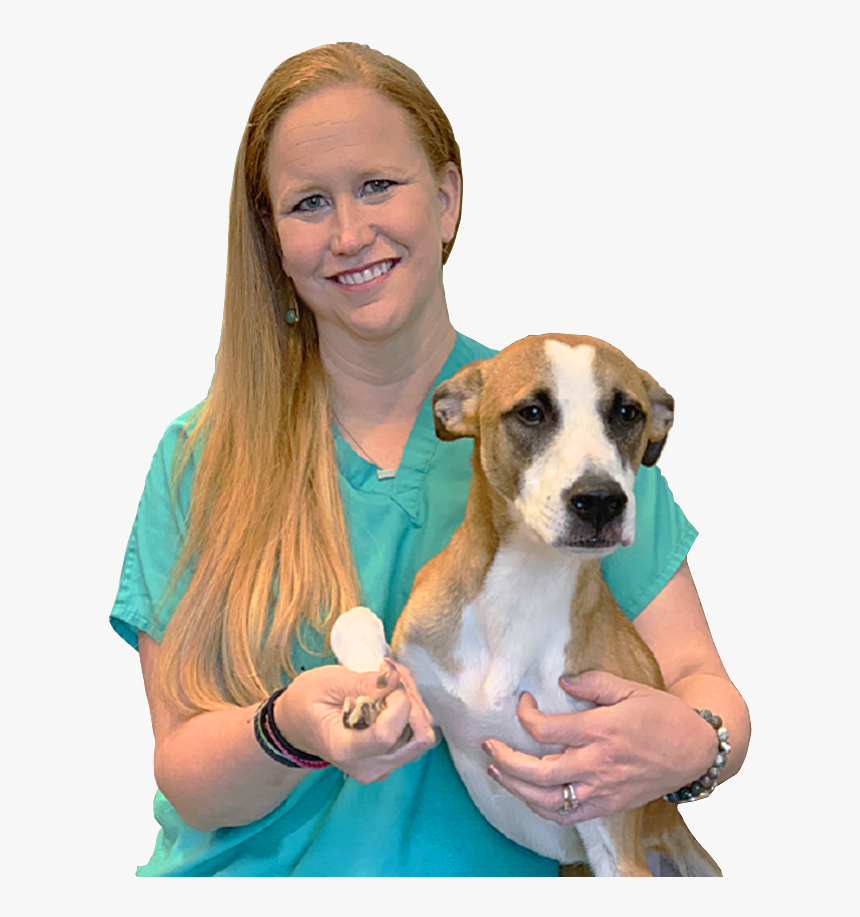 Dr Carrie Friedewald Vet Kennesaw - Companion Dog, HD Png Download
