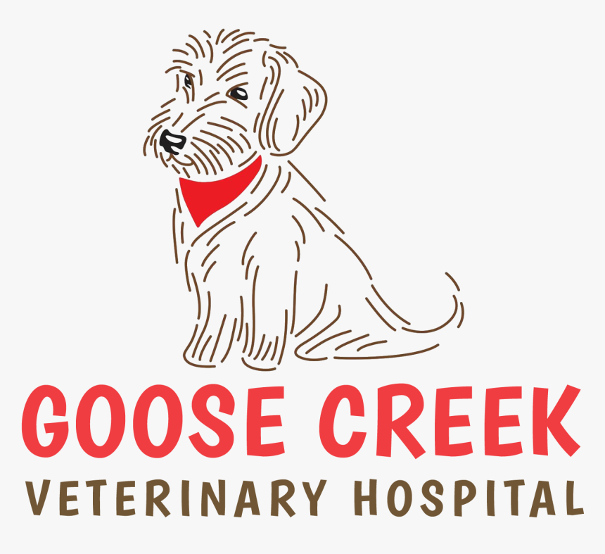 Goose Creek Veterinary Hospital, HD Png Download
