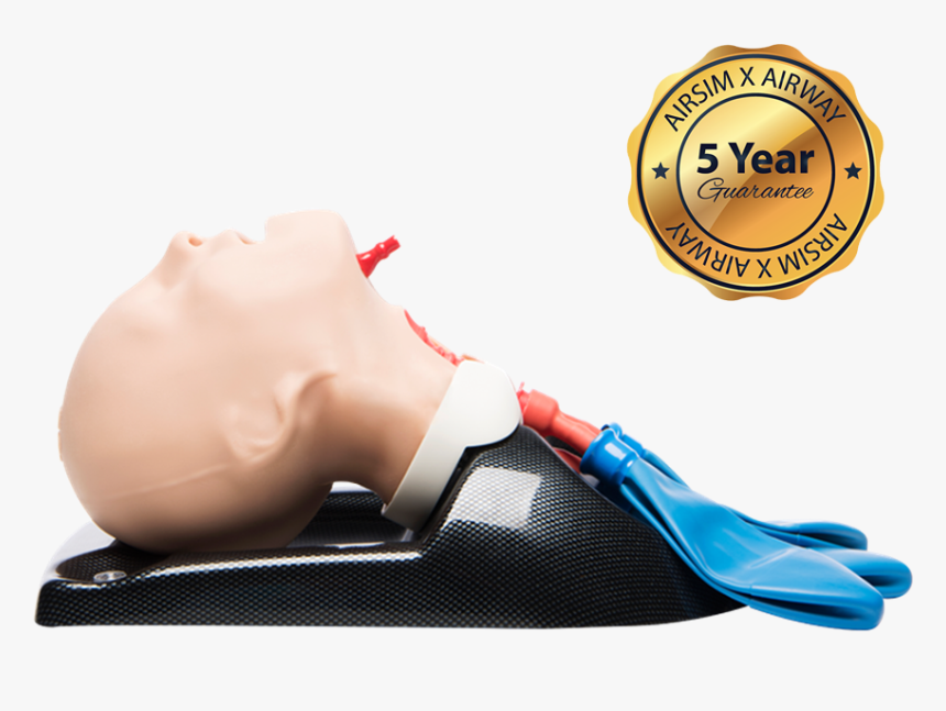 Airsim Child Combo X Manikin Pediatric Intubation & - Airway Management, HD Png Download