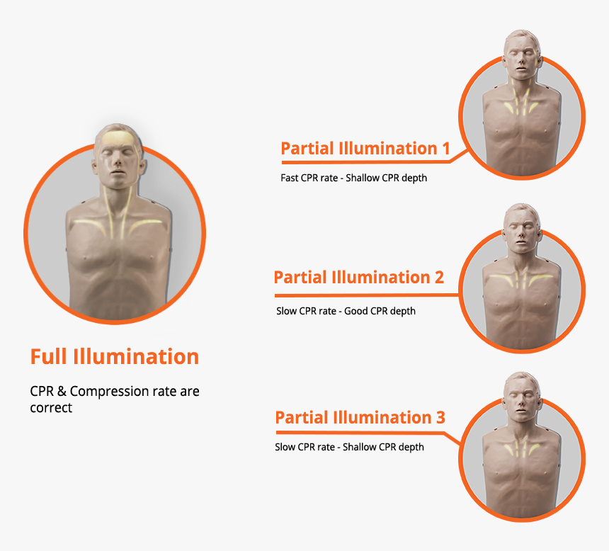 Brayden Cpr Manikin, HD Png Download