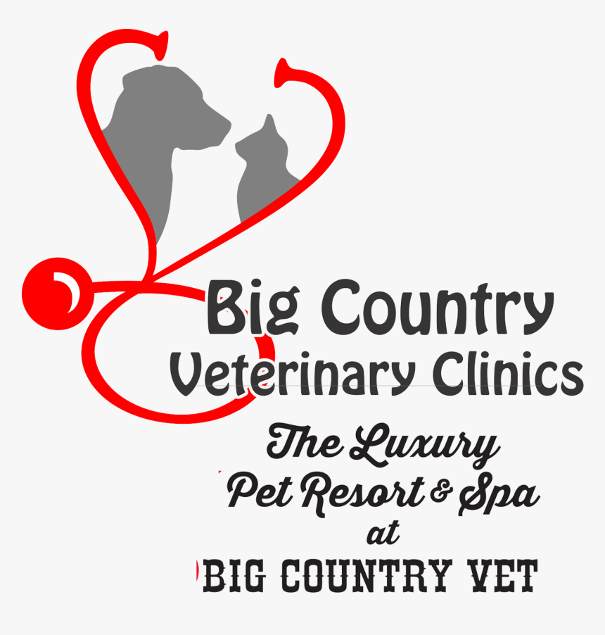 Big Country Veterinary Clinic - Graphic Design, HD Png Download