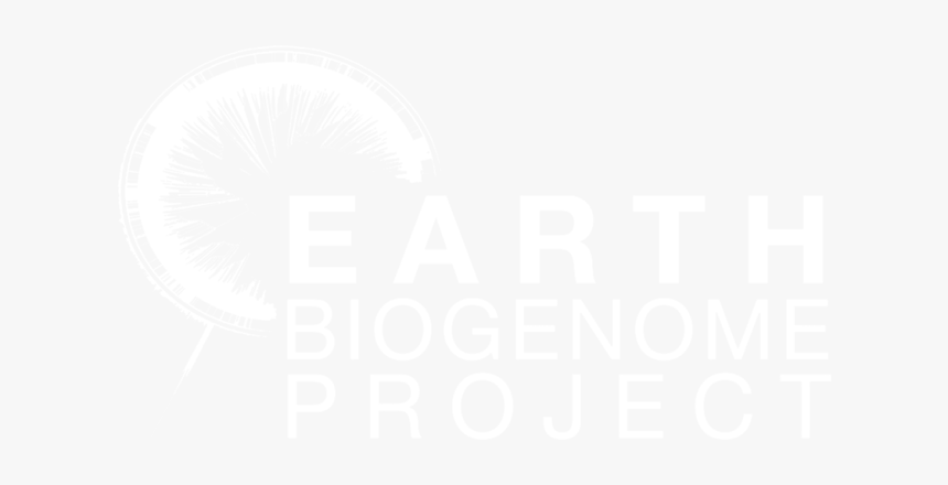 Earth Biogenome Project - Google Cloud Logo White, HD Png Download