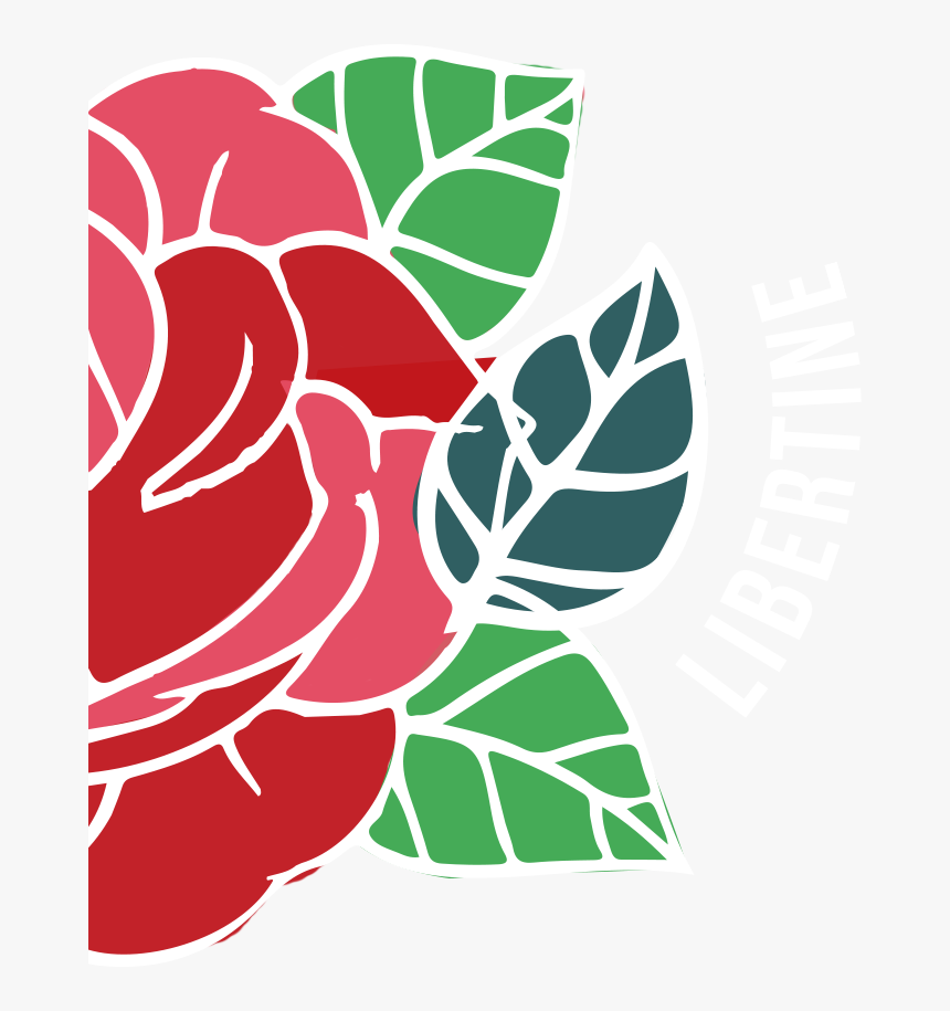 Transparent Falling Roses Png - Hybrid Tea Rose, Png Download