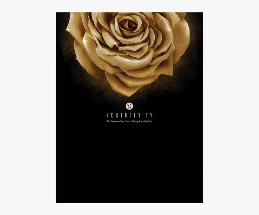 Youthfinity Set Mary Kay, HD Png Download