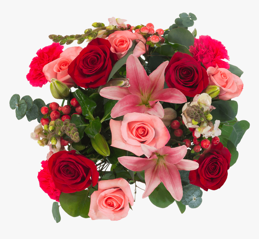 Garden Roses, HD Png Download