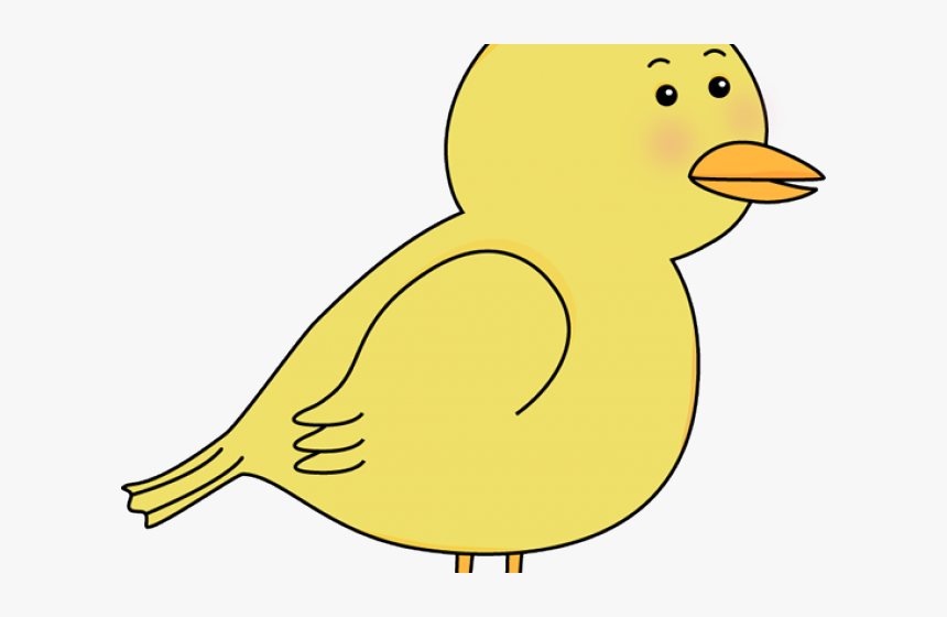 Cute Bird Cliparts, HD Png Download