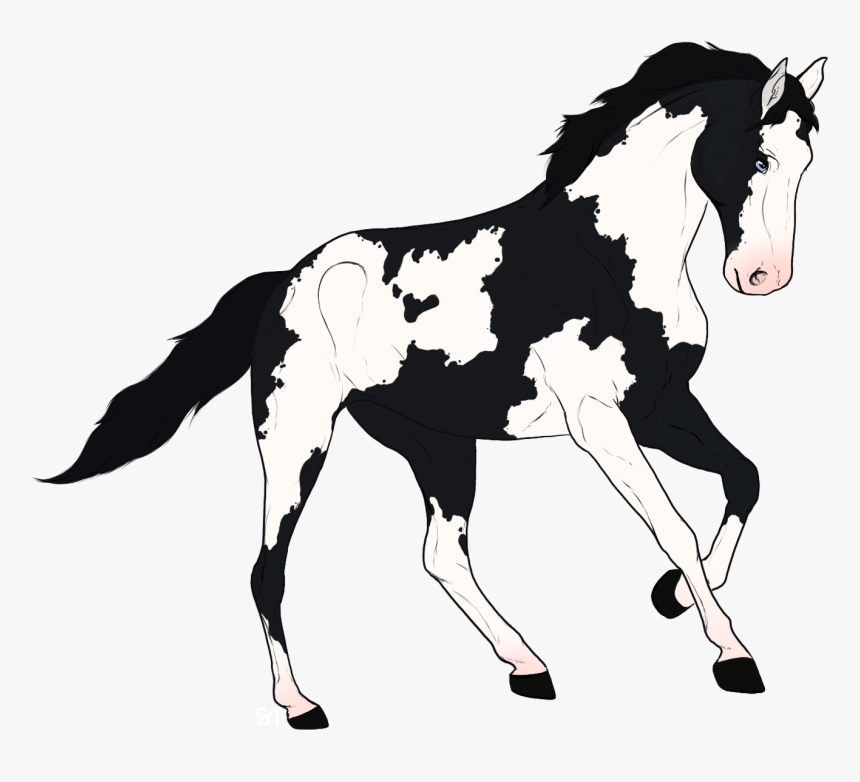 Mane, HD Png Download