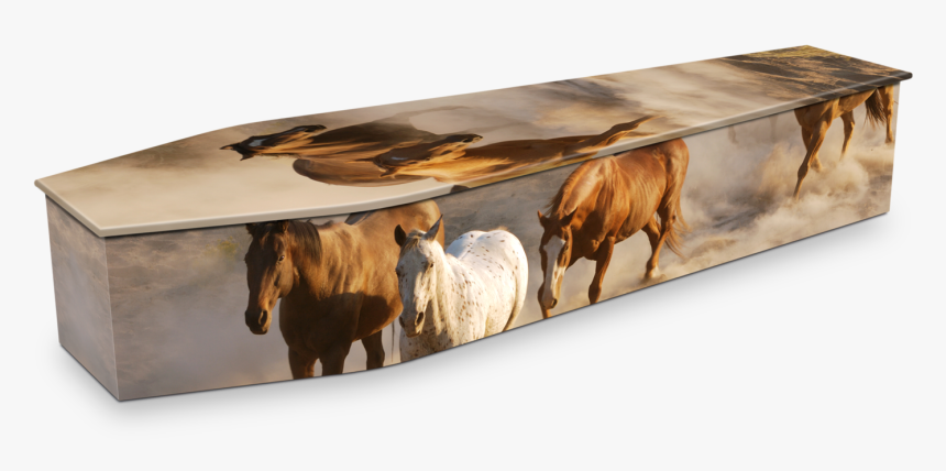 Horse Themed Casket, HD Png Download