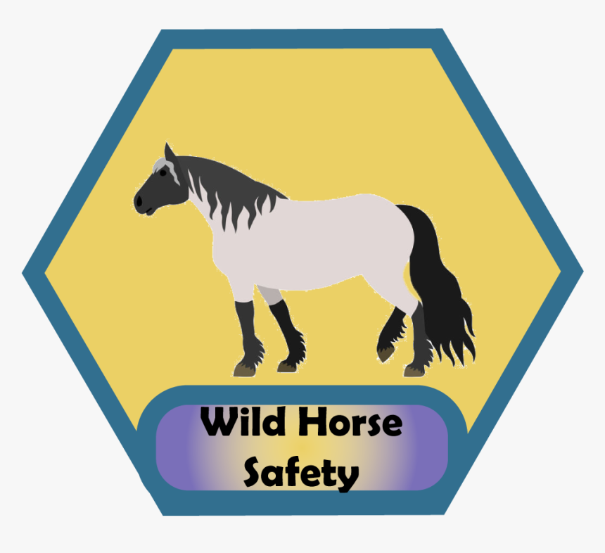 Wild Horse Png, Transparent Png